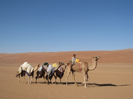 Camel train in Wahiba Sands, Oman - photo by Rob McFarland